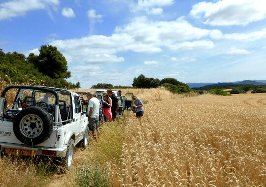 incentive-seminaire-bardenas-randonnee-4x4